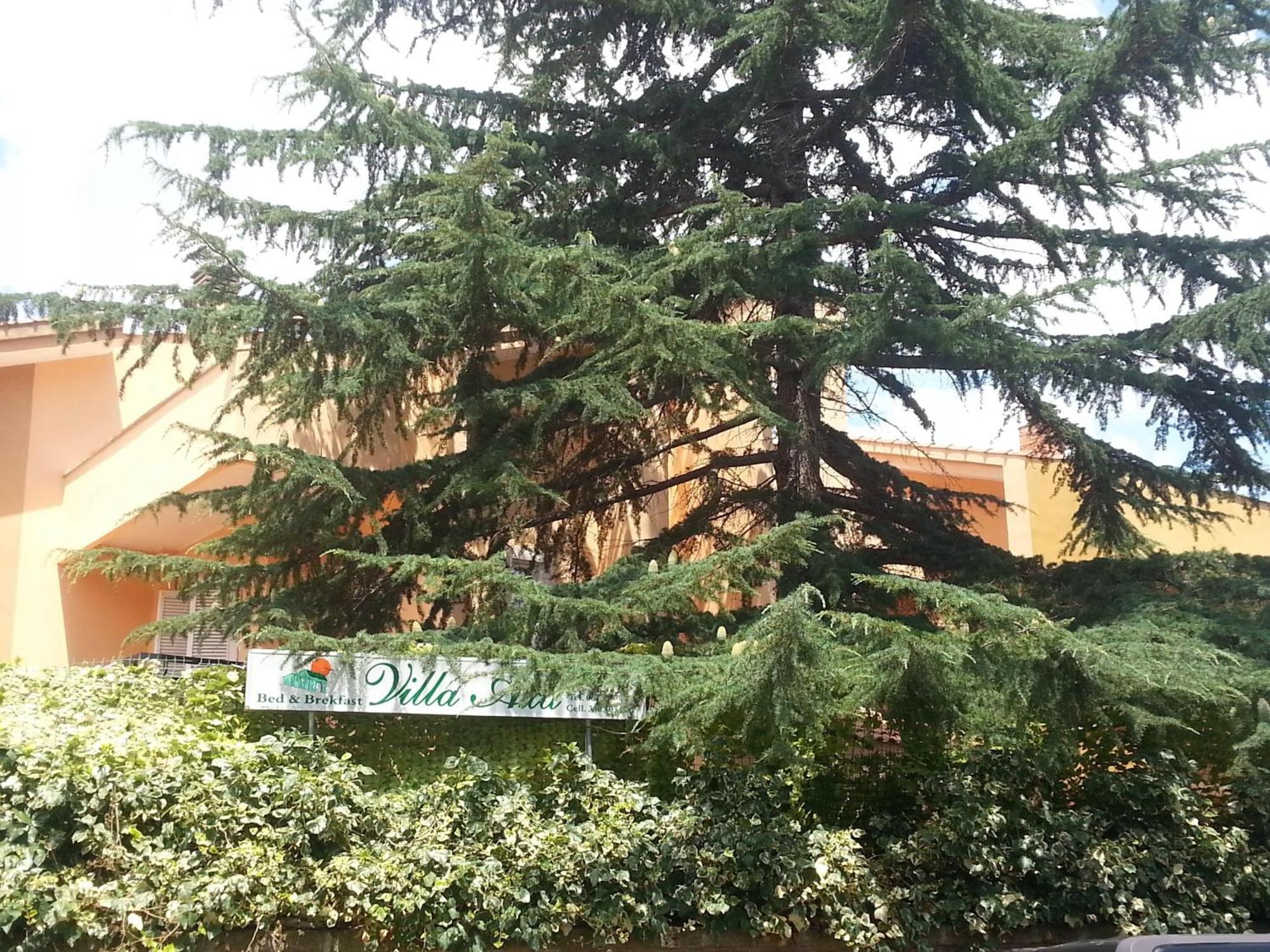 Villa Axa Casal Palocco Rom bilde